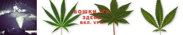 СК Ростов