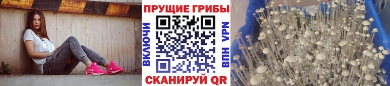 мориарти какой сайт Безенчук Галлюциногенные грибы ЛСД